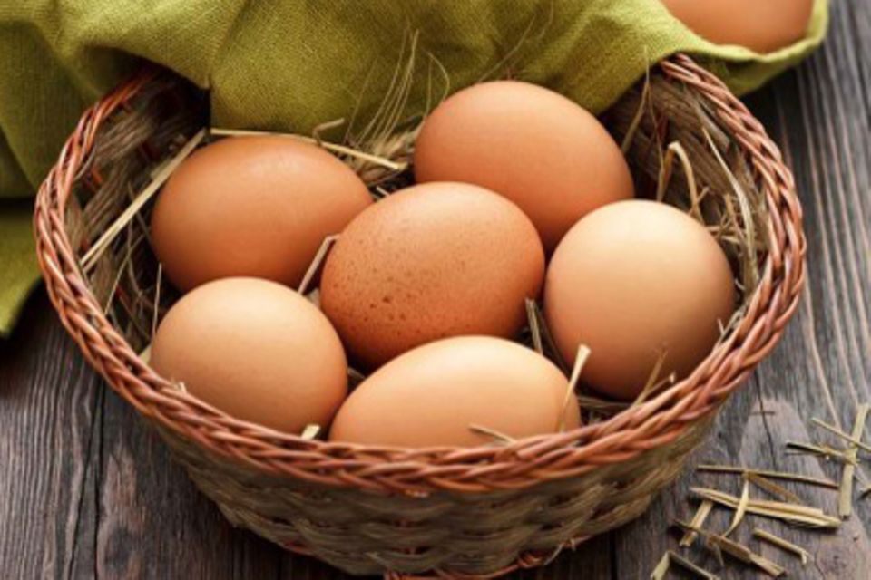 Nicht nur im Osterkörbchen heiß begehrt: Ei