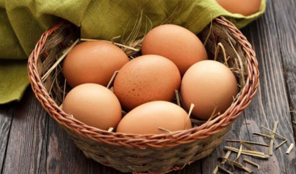 Nicht nur im Osterkörbchen heiß begehrt: Ei Nicht nur im Osterkörbchen heiß begehrt: Ei
