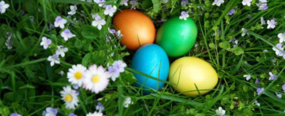 Gefärbte Ostereier zaubern Frühlingsflair Gefärbte Ostereier zaubern Frühlingsflair