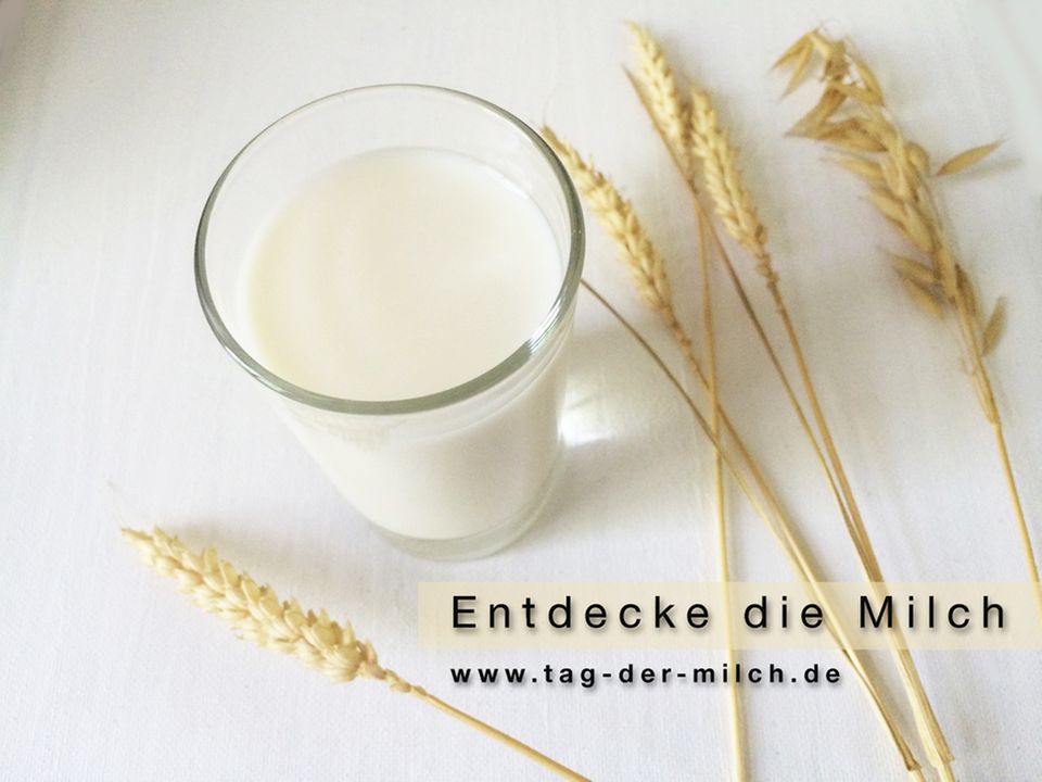 Am 01. Juni ist internationaler Tag der Milch Am 01. Juni ist internationaler Tag der Milch