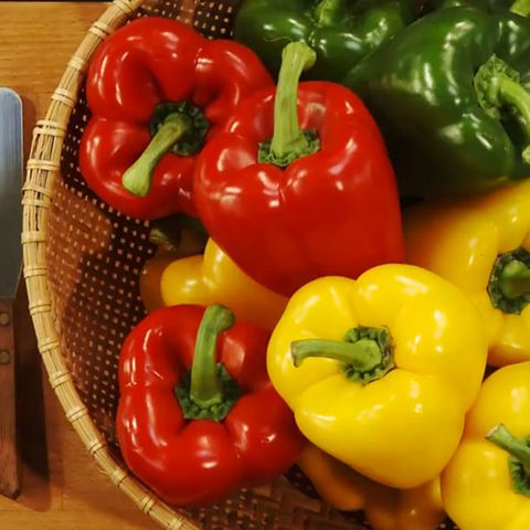 Die Farbe der Paprika gibt Auskunft über den Reifegrad.