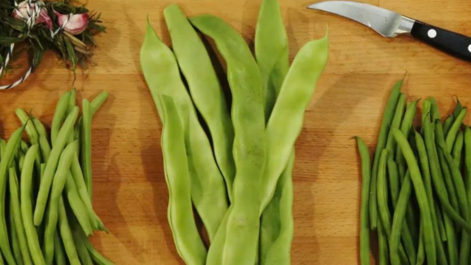Frisch zubereitet schmecken Bohnen am besten. Frisch zubereitet schmecken Bohnen am besten.