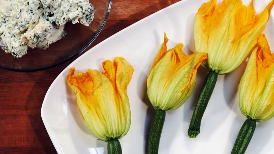 Zucchiniblüten sind optisch und geschmacklich ein Highlight. Zucchiniblüten sind optisch und geschmacklich ein Highlight.