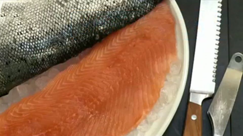 Beliebter Rundfisch: Lachs Beliebter Rundfisch: Lachs