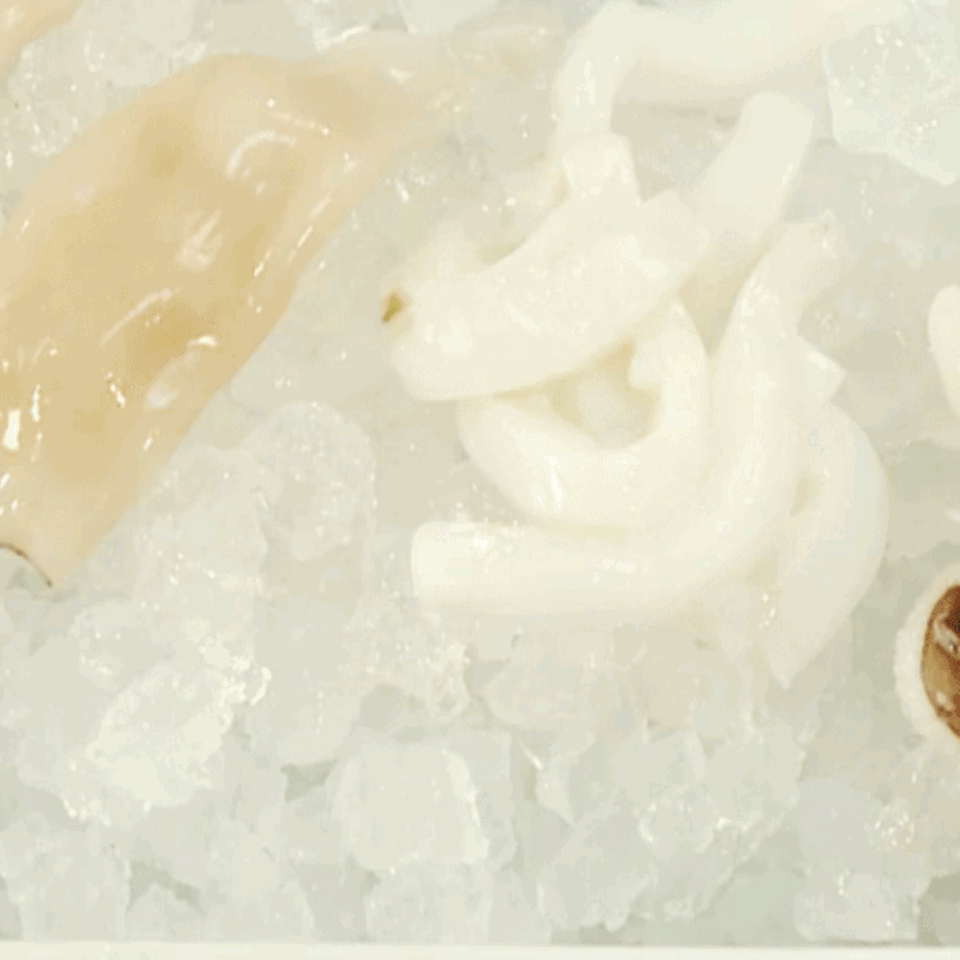 Sepia und Kalmar werden auf Eis gekühlt.