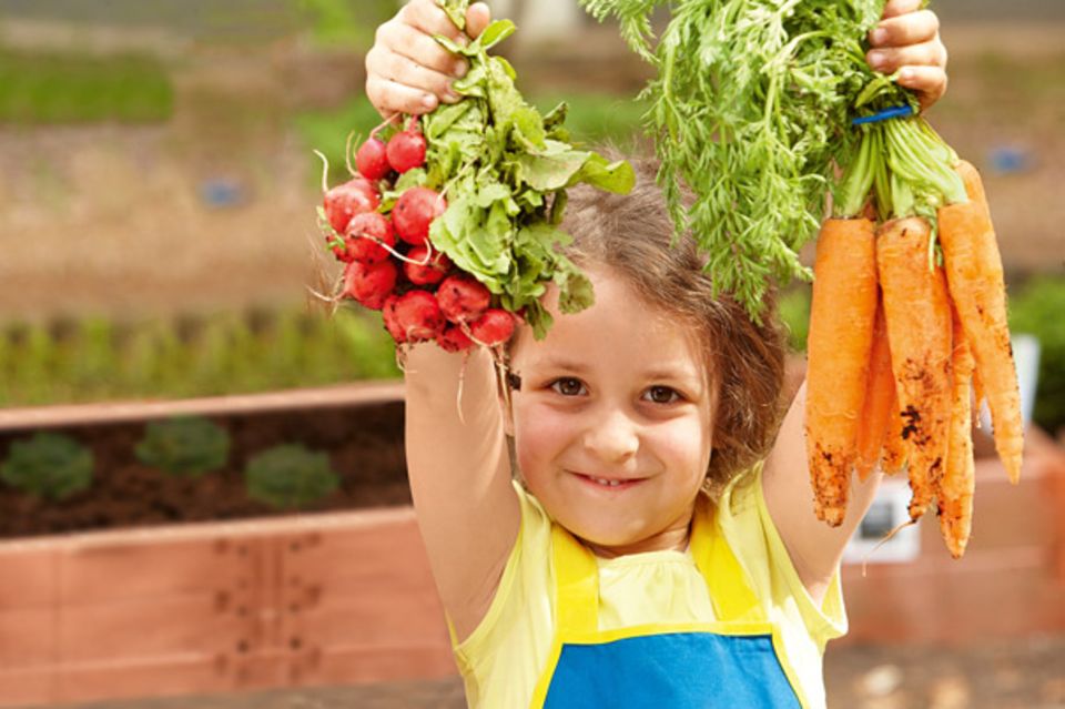 Gemüse selber anbauen, ernten und essen!