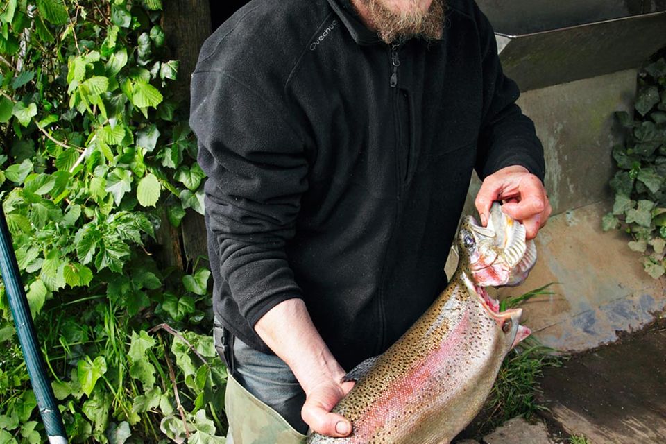 Forellenzüchter Marc Genet mit einer seiner Regenbogenforellen