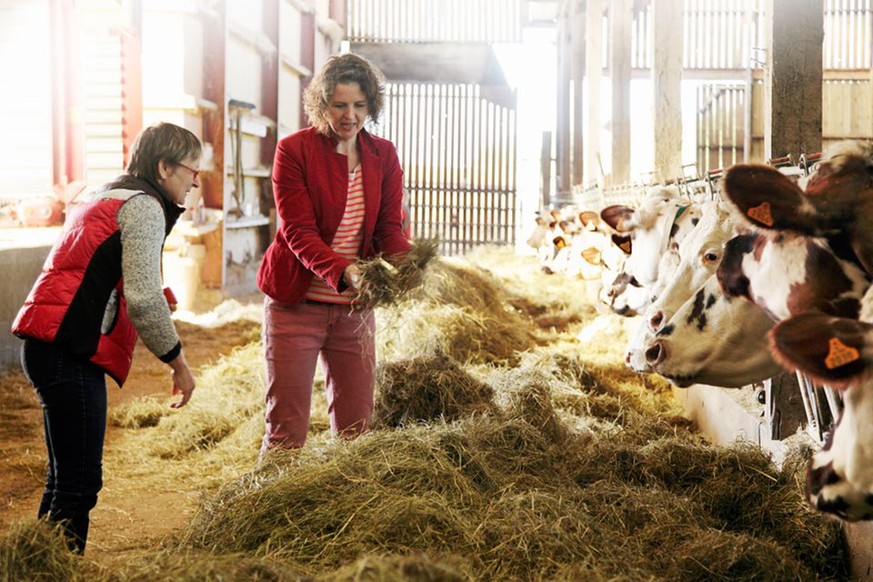Francine Mercier füttert mit Hege Marie Köster die Kühe