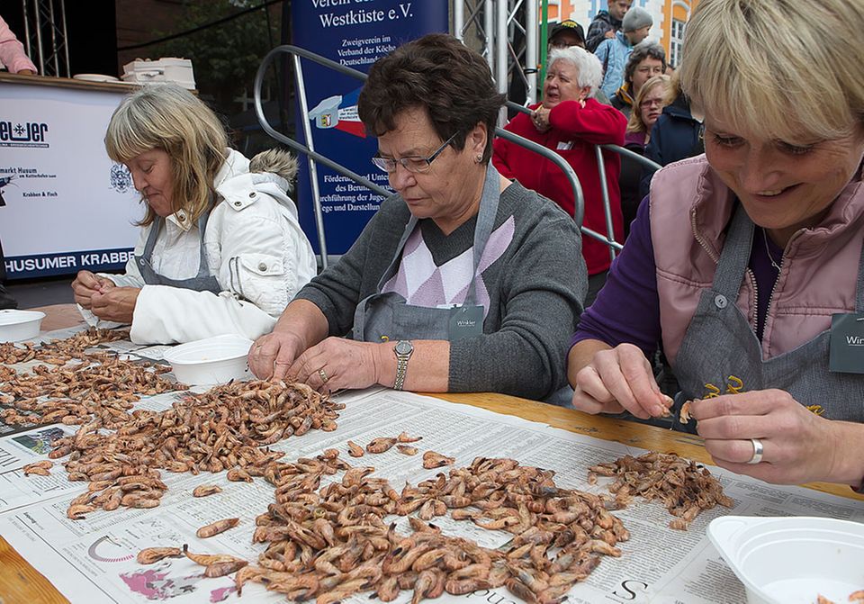 Auch dieses Jahr wird wieder gepult: Husumer Krabbentage 2014 mit Krabbenpul-Meisterschaft Auch dieses Jahr wird wieder gepult: Husumer Krabbentage 2014 mit Krabbenpul-Meisterschaft