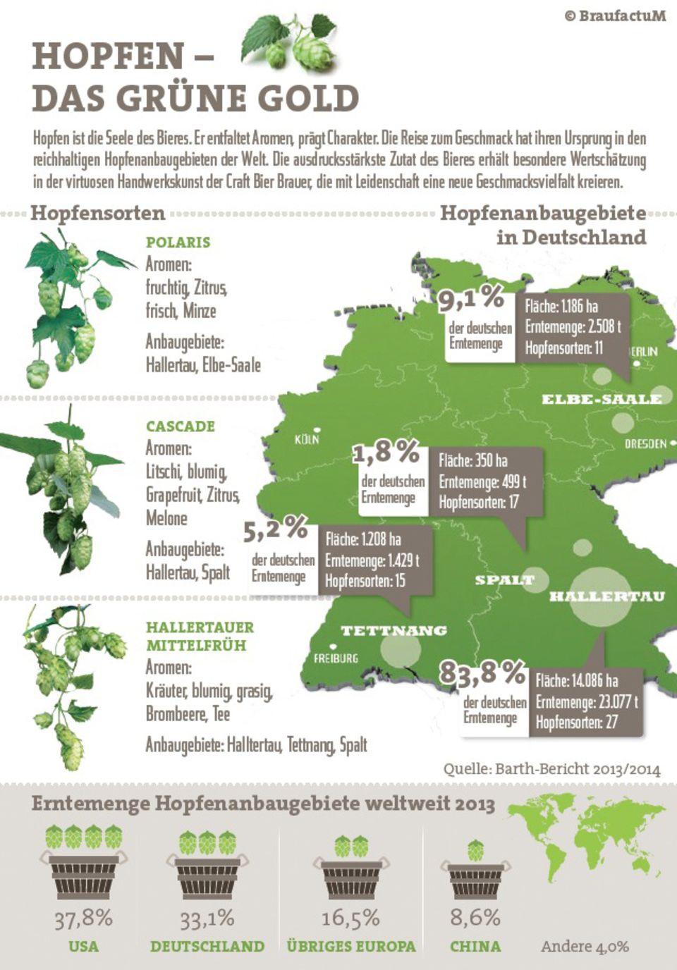 Infografik: Hopfenanbau in Deutschland Infografik: Hopfenanbau in Deutschland
