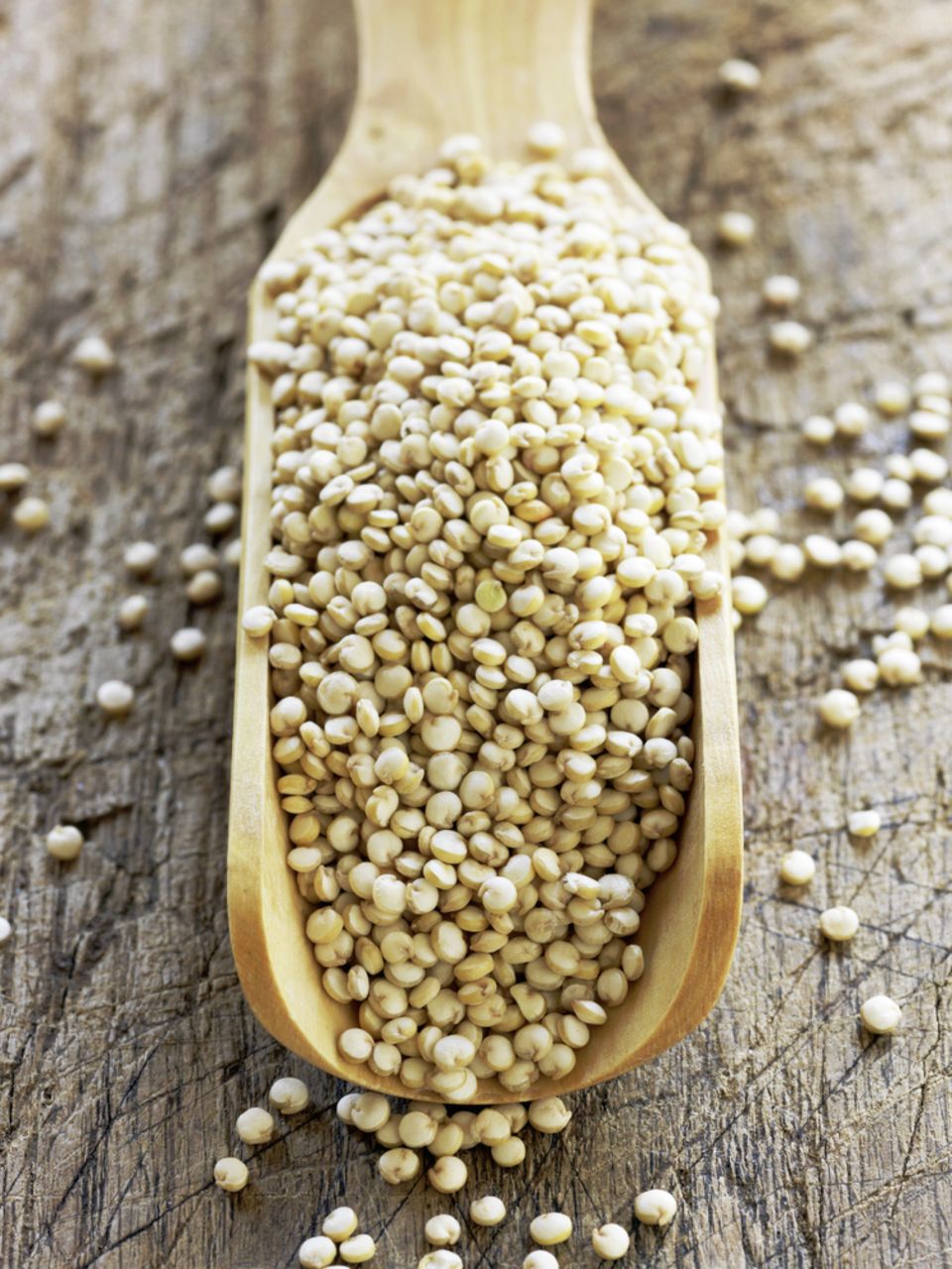 Quinoa ist glutenfrei und kann deshalb bei Gluten-Unverträglichkeit zum Backen verwendet werden Quinoa ist glutenfrei und kann deshalb bei Gluten-Unverträglichkeit zum Backen verwendet werden