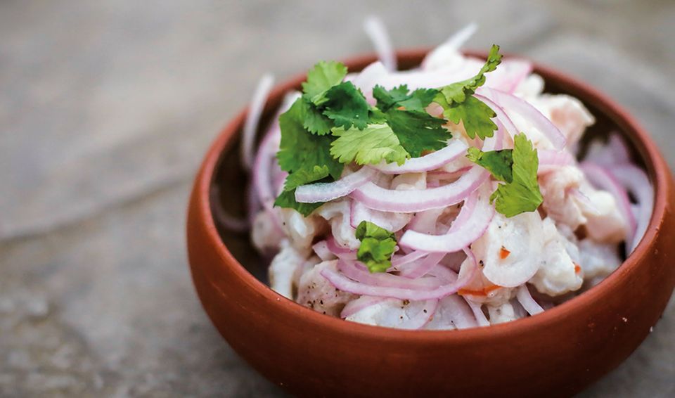 Macht Lust auf mehr: Ceviche aus Peru Macht Lust auf mehr: Ceviche aus Peru