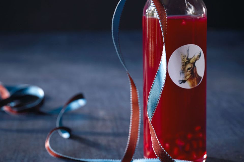 Power pur: Unsere Top 10 mit Granatapfel Power pur: Unsere Top 10 mit Granatapfel