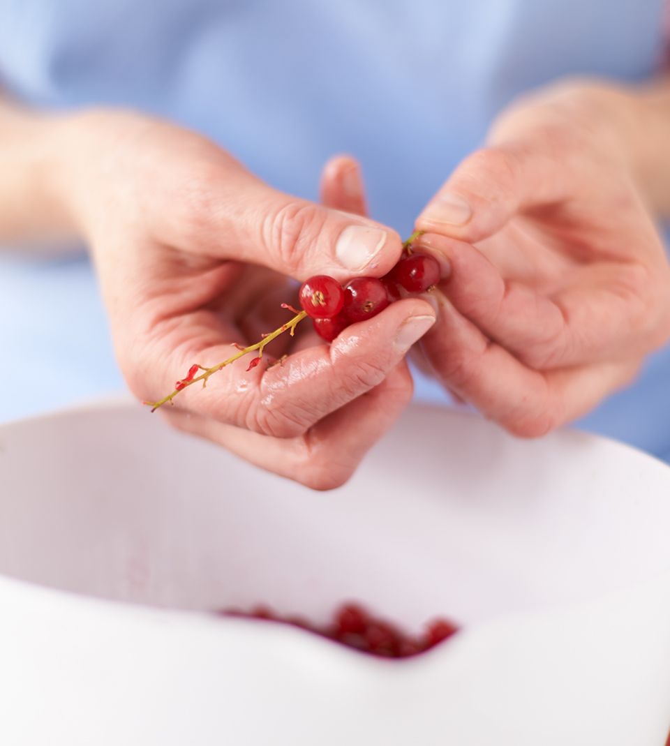 Johannisbeeren vorsichtig von den Rispen lösen Johannisbeeren vorsichtig von den Rispen lösen