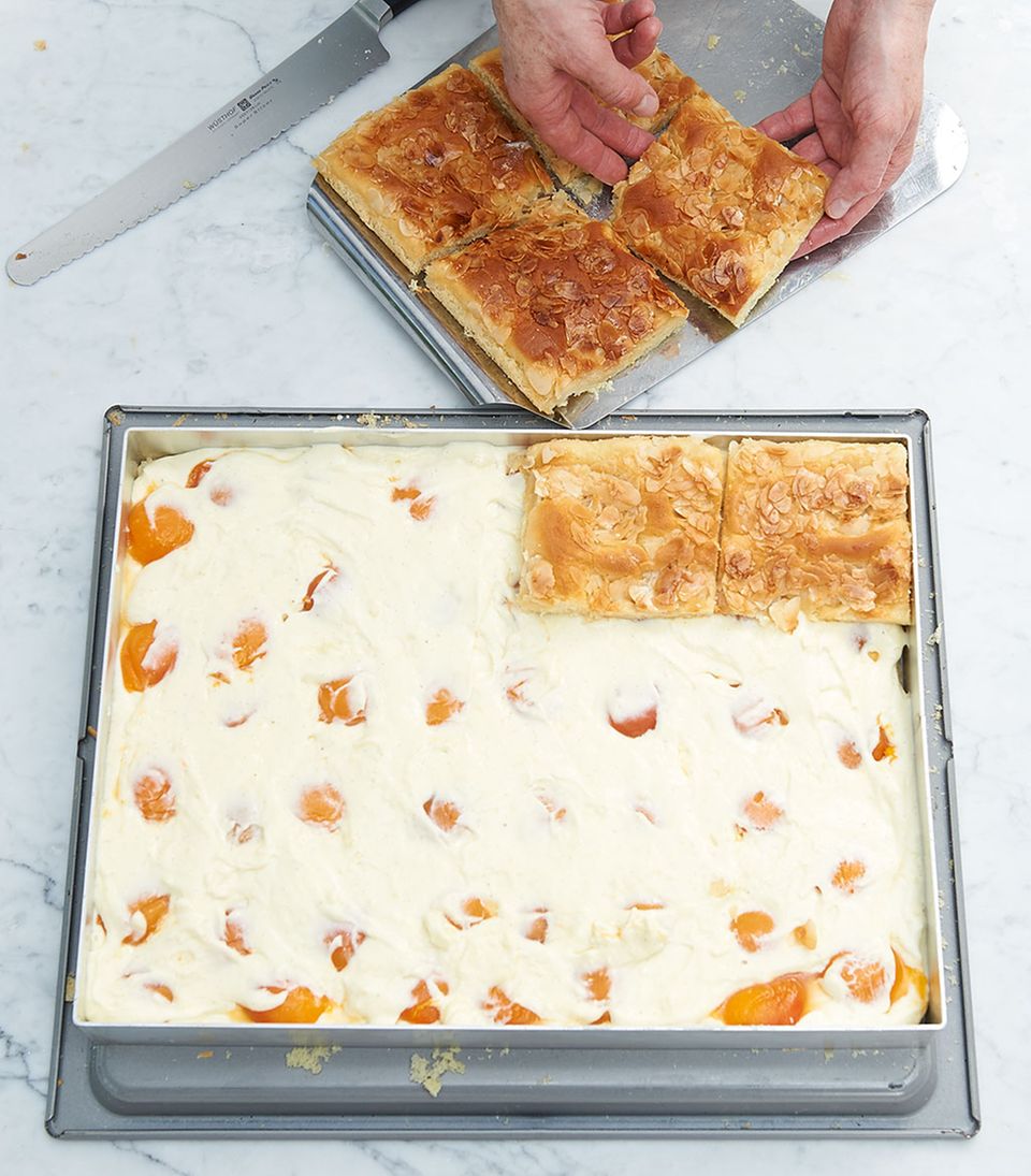 Pudding-Füllung und Aprikosen auf Kuchenboden für Bienenstich verteilen Pudding-Füllung und Aprikosen auf Kuchenboden für Bienenstich verteilen