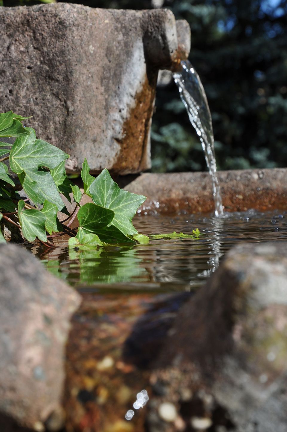 Wasser frisch aus der Quelle Wasser frisch aus der Quelle