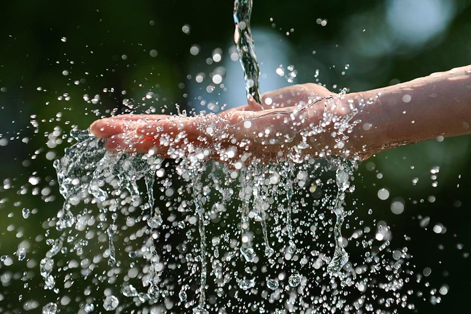 Wasser - Quell des Lebens
