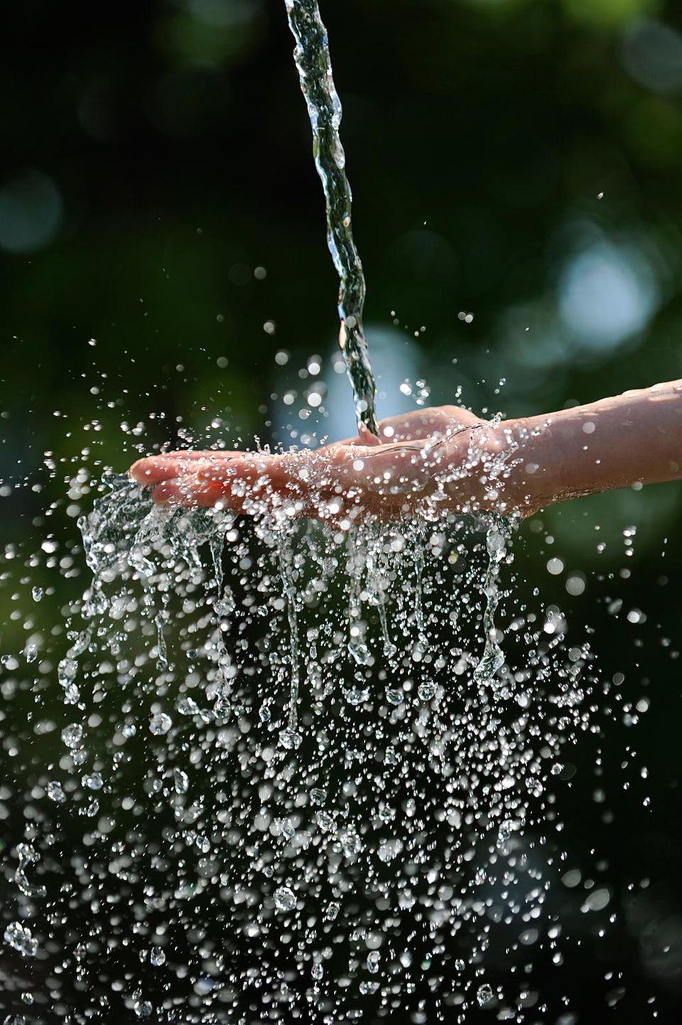 Wasser - Quell des Lebens Wasser - Quell des Lebens
