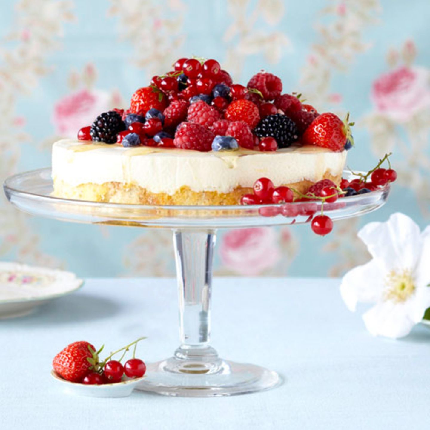 Beerentorte mit Schokocreme