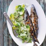 Gegrillte Makrelen mit Gurken-Edamame-Salat