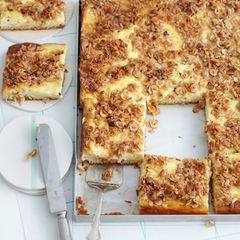 Quark-Blechkuchen mit Nuss-Haferflocken-Kruste