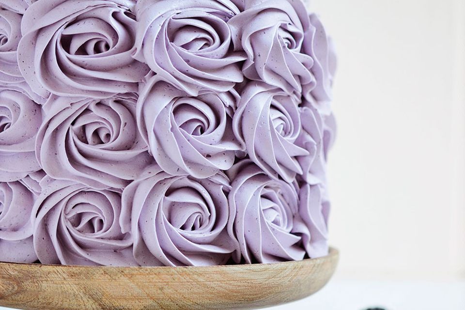 Rosen aus Brombeercreme zieren diese Torte. Im Inneren versteckt sich saftig leckerer Schoko-Biskuit! Rosen aus Brombeercreme zieren diese Torte. Im Inneren versteckt sich saftig leckerer Schoko-Biskuit!
