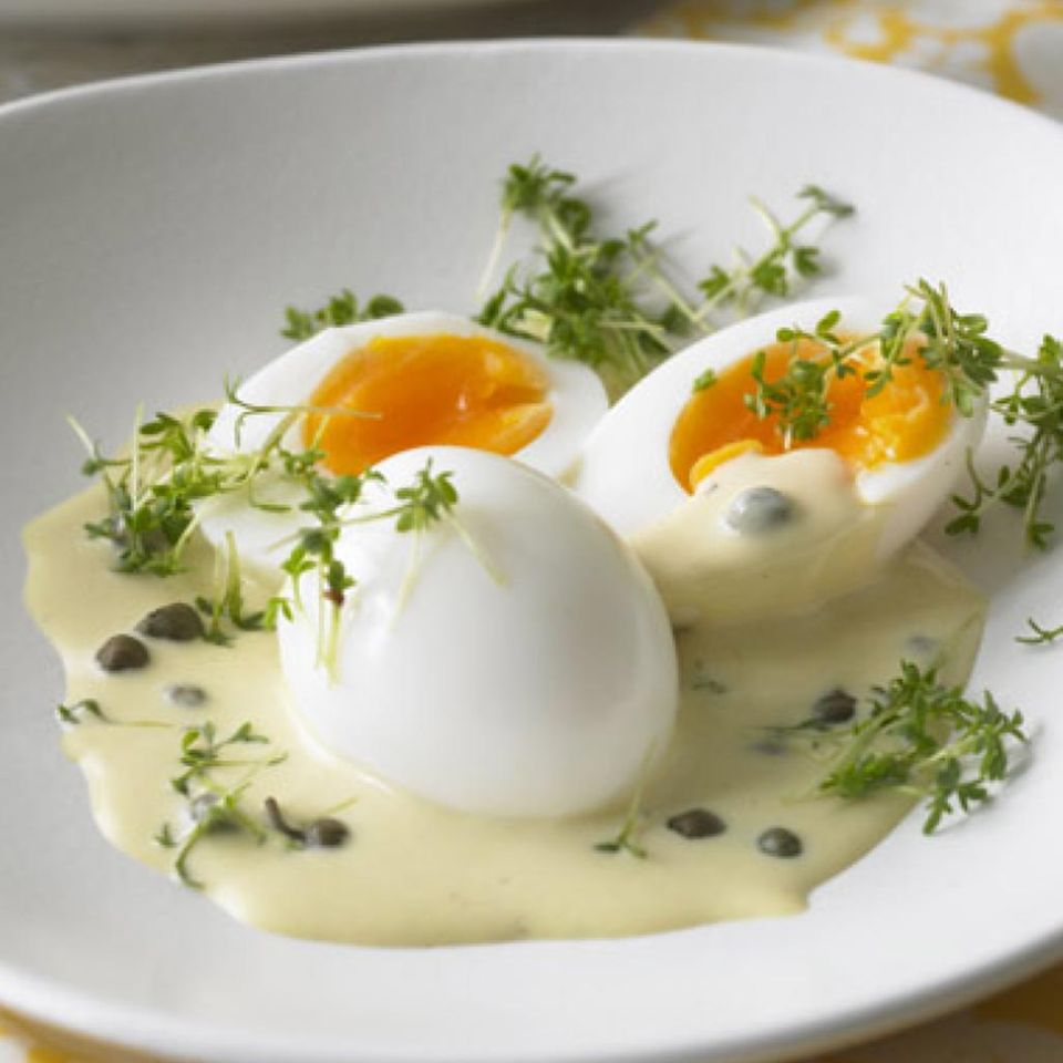 Rezepte mit scharfem Senf