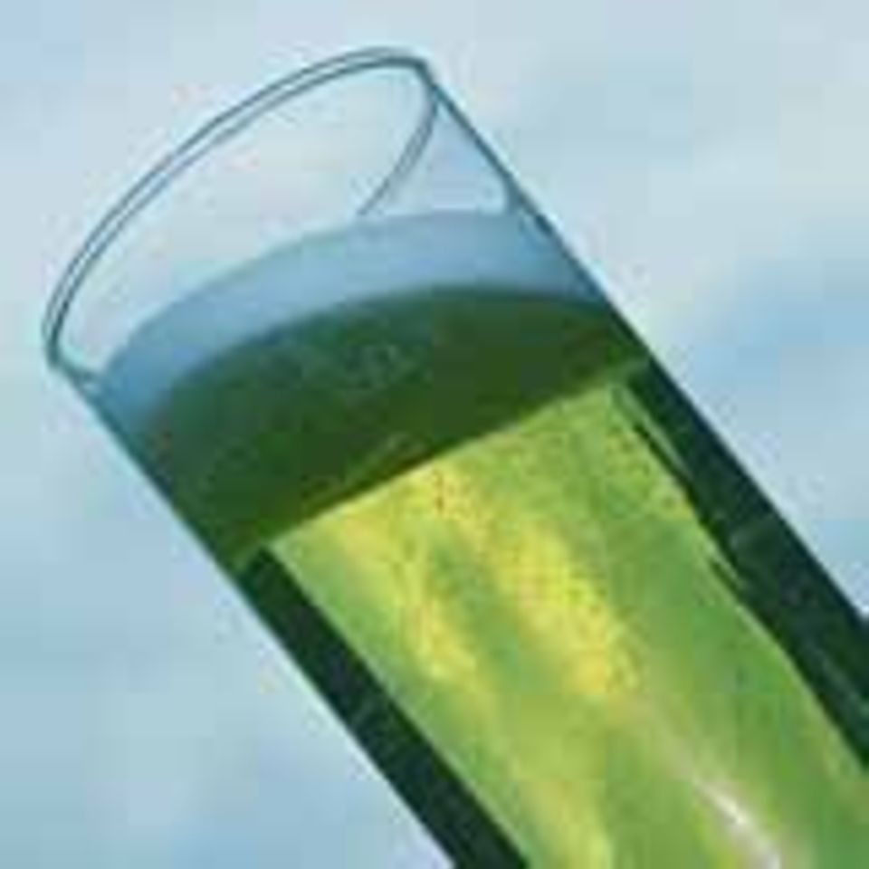 Kölsch Kölsch