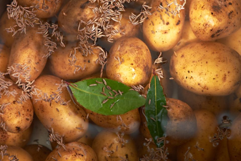 Kartoffelsalat mit Bohnen und Pfifferlingen Kartoffelsalat mit Bohnen und Pfifferlingen