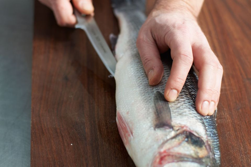 Loup de mer in der Salzkruste Loup de mer in der Salzkruste