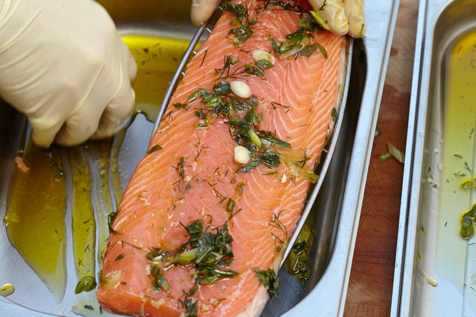 Lachs und Makrele mit Kräutermarinade Lachs und Makrele mit Kräutermarinade