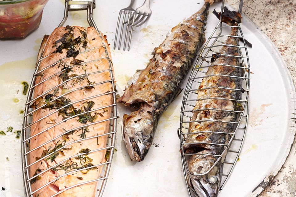 Lachs und Makrele mit Kräutermarinade Lachs und Makrele mit Kräutermarinade