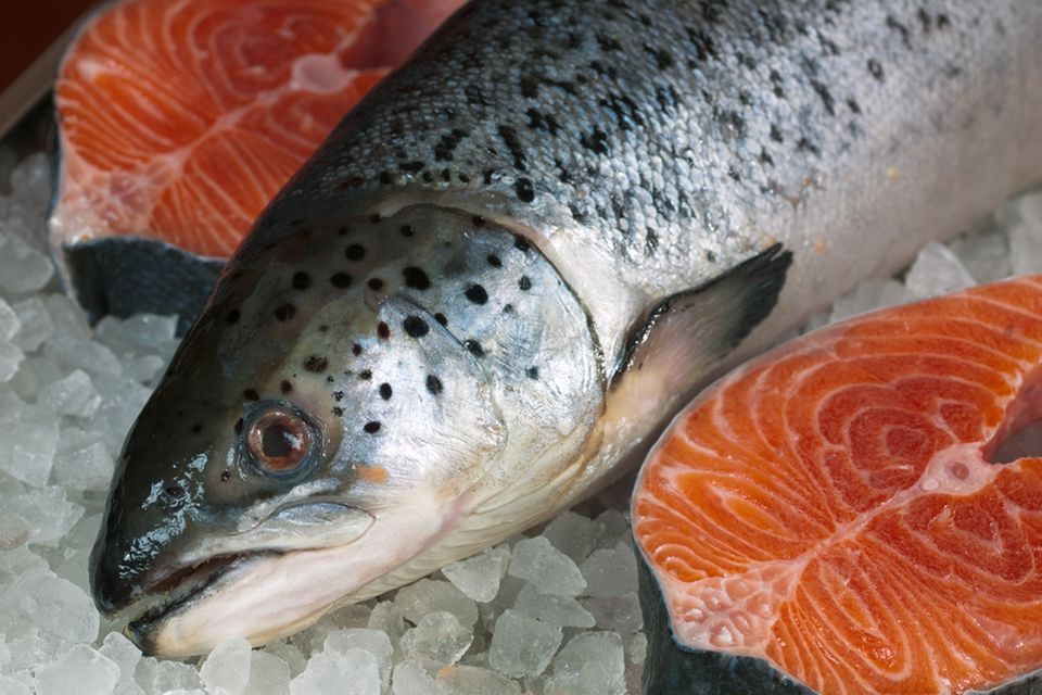 Wie macht man eigentlich... Lachs Wie macht man eigentlich... Lachs