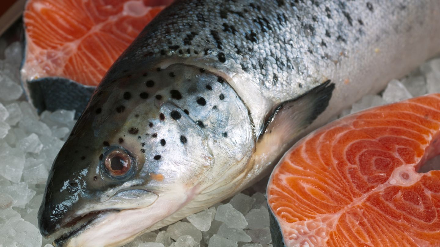 Wie macht man eigentlich... Lachs - [ESSEN UND TRINKEN]