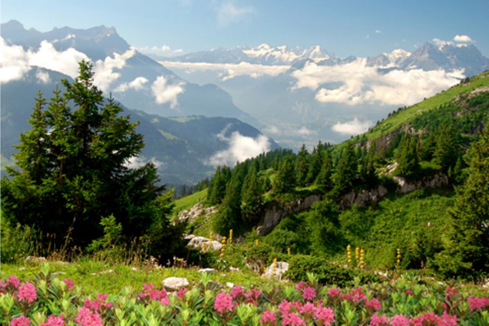 Der Berg ruft: Alpenküche
