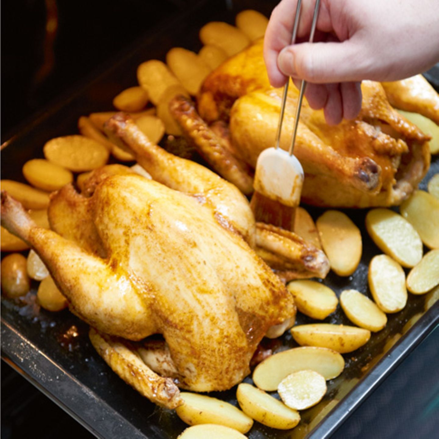 Wie Lange Halt Gebratenes Hahnchen Im Kuhlschrank Hähnchen - [ESSEN UND TRINKEN]