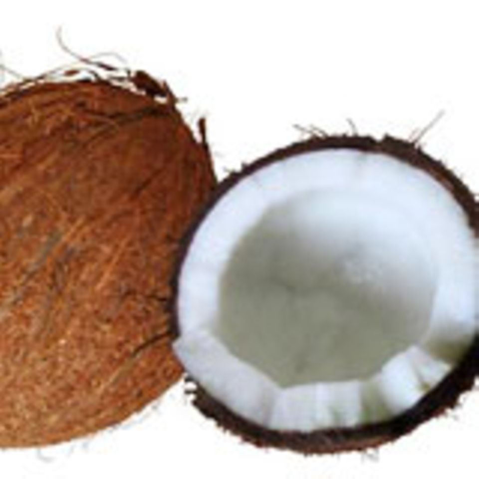 Kokosnuss Kokosnuss
