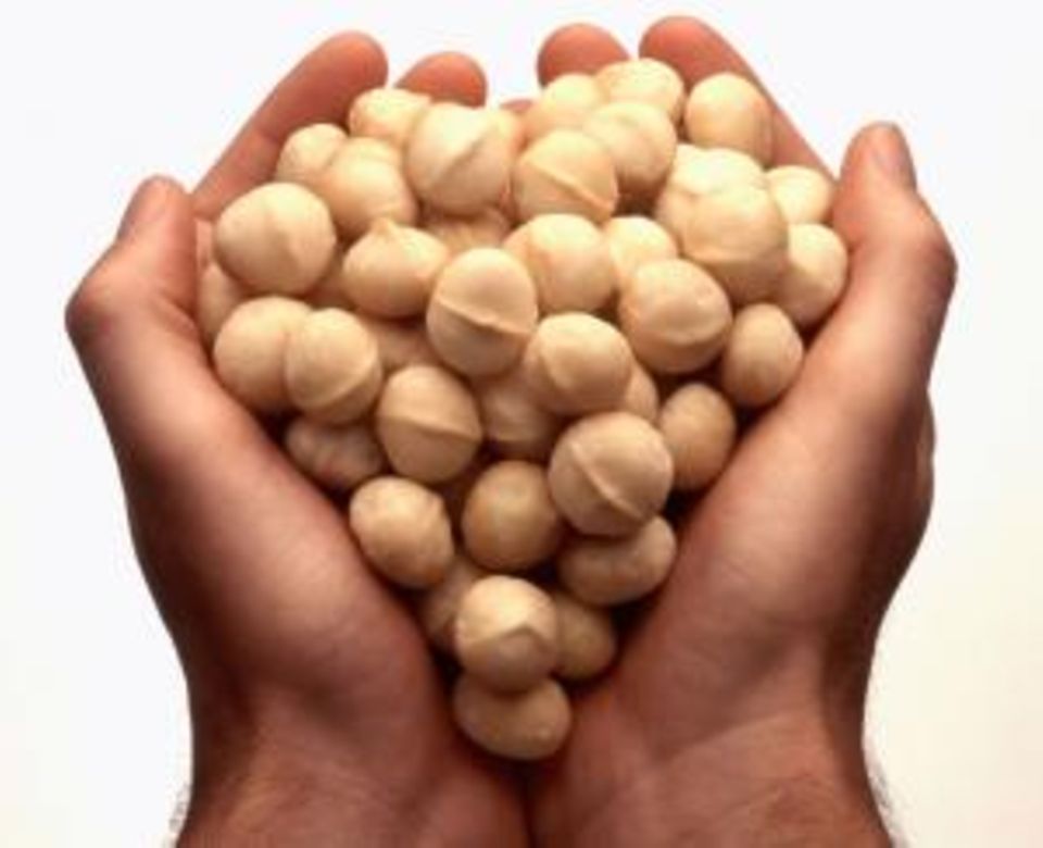 Macadamias Macadamias