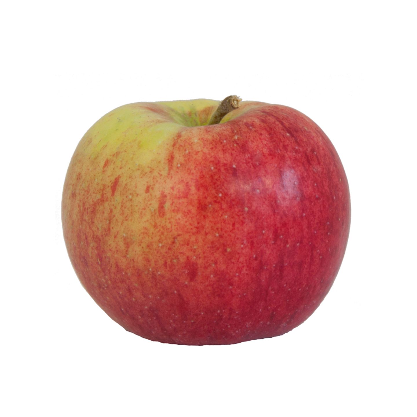Kleines Apfel-ABC: 10 Apfelsorten.
