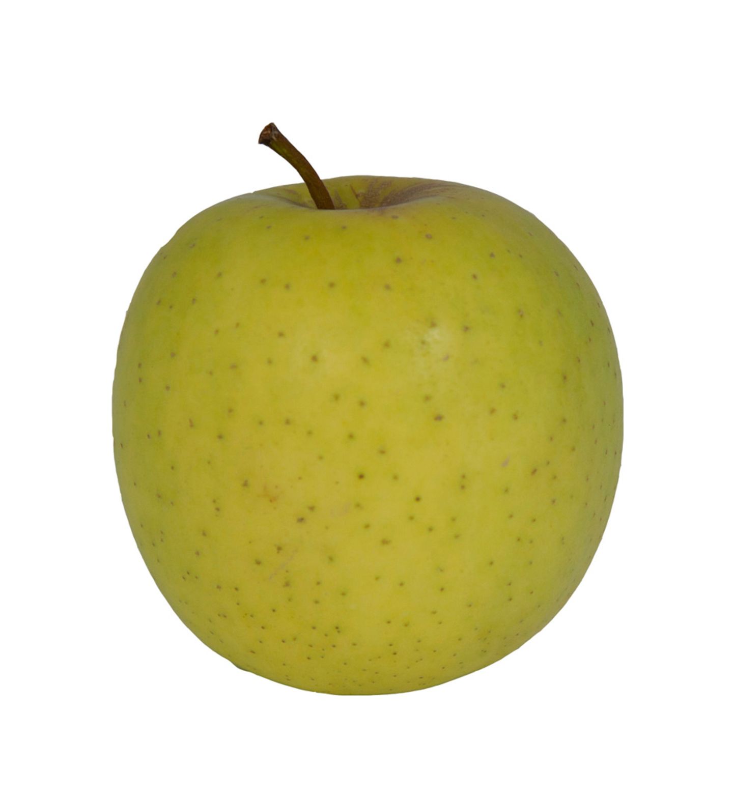 Golden Delicious Der Beliebte [ESSEN UND TRINKEN]