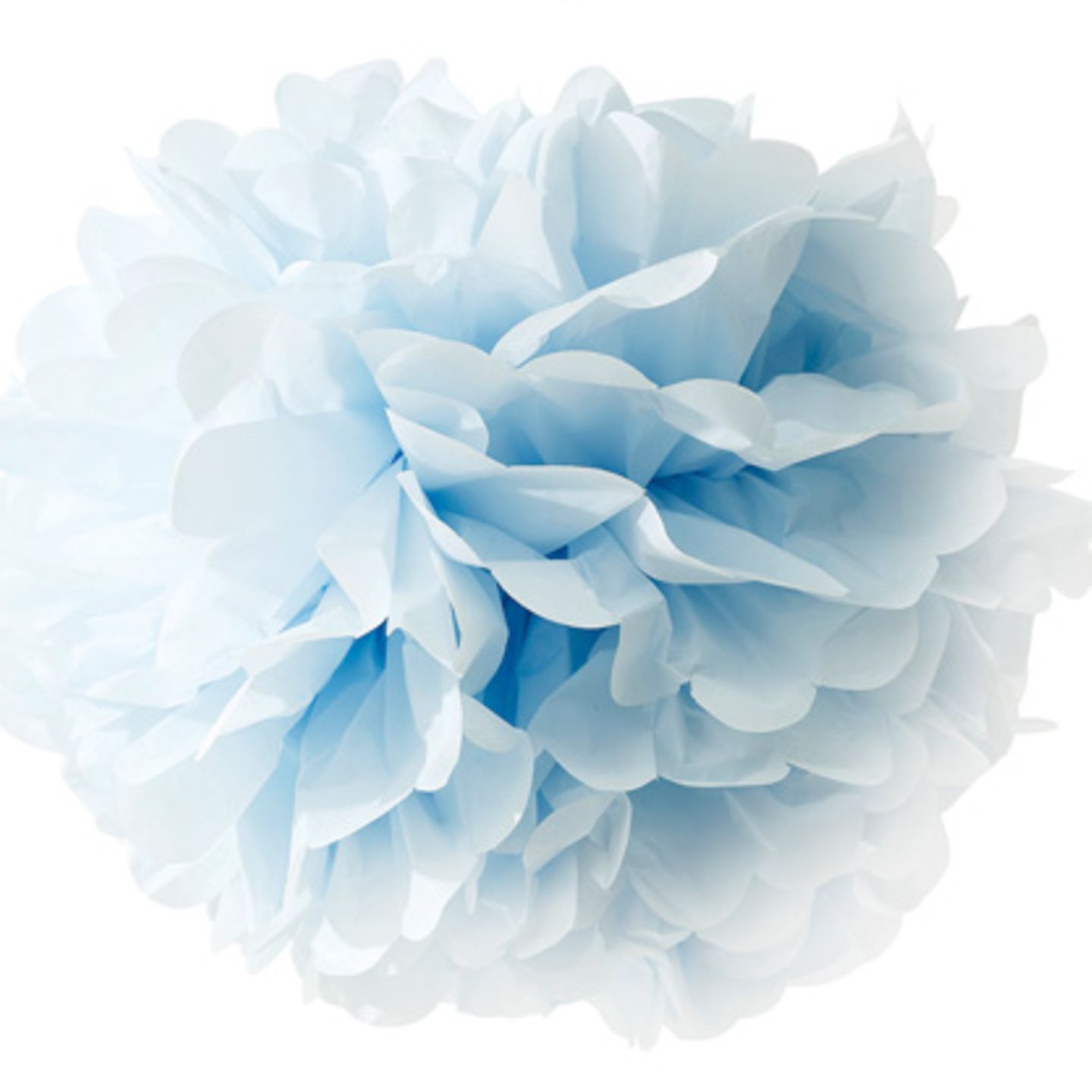 Hellblaue Blütenpracht