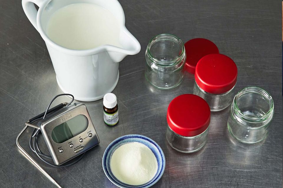Grundzutaten für Joghurt Grundzutaten für Joghurt