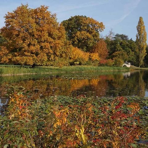 Wörlitzer Park in Sachsen-Anhalt