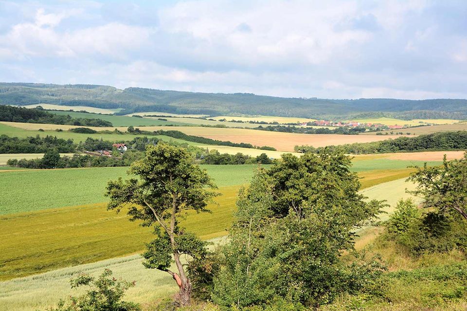 Nierdersachsen