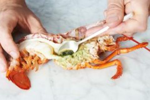 Hummer: Rezepte & Zubereitung - [ESSEN UND TRINKEN]