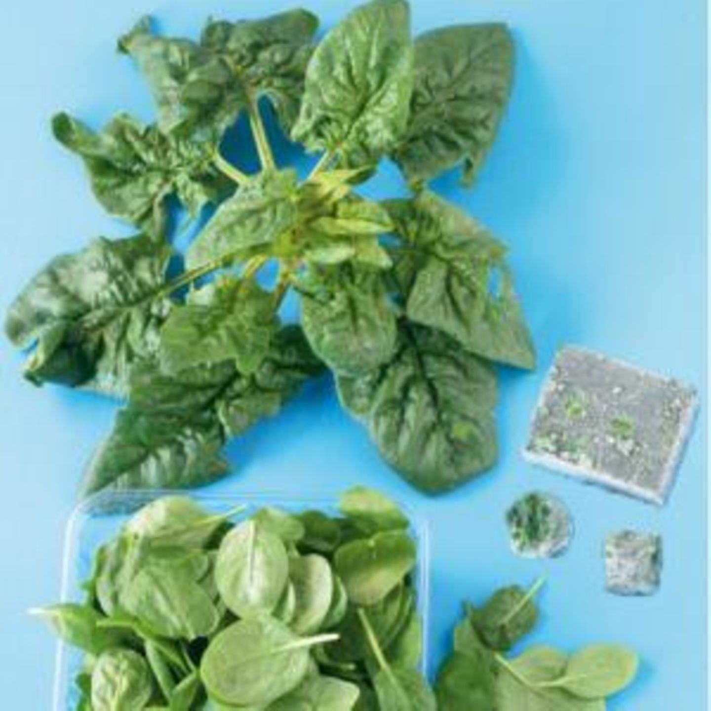 Spinat: Zubereitung, Infos & geniale Rezepte - [ESSEN UND TRINKEN]