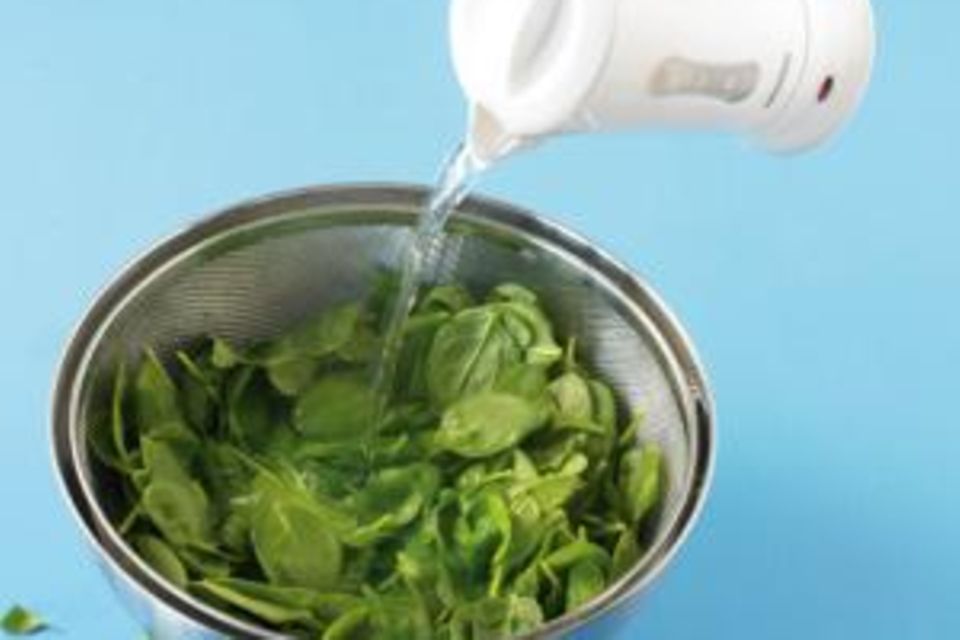 Spinat: Rezepte und Tipps Spinat: Rezepte und Tipps