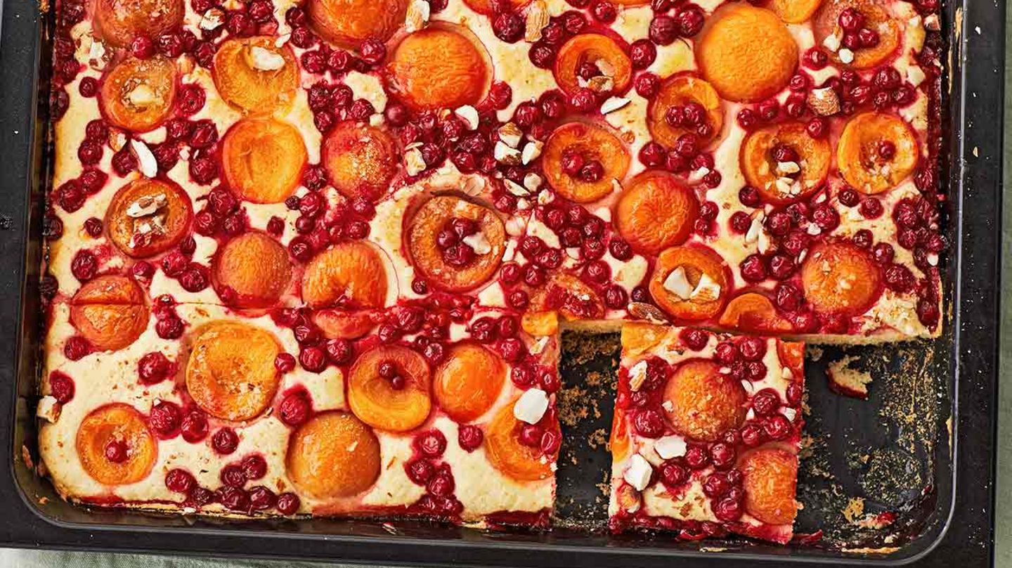 Aprikosen-Johannisbeer-Kuchen: Thermomix ® Rezept