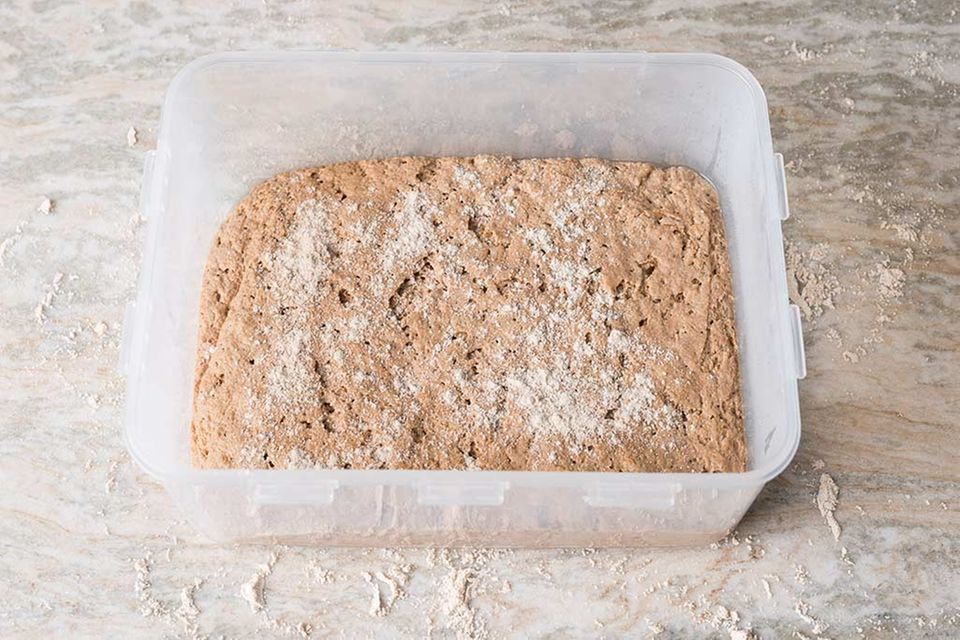 Dinkel-Roggen-Teig in einer mit Öl ausgestrichenen Kunststoffdose