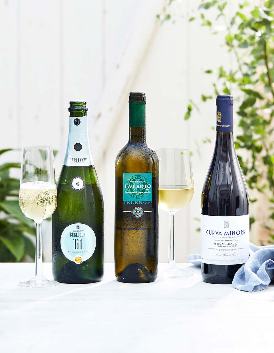 Das Weinpaket zur Sommerparty besteht aus Schaum-, Weiß- und Rotwein Das Weinpaket zur Sommerparty besteht aus Schaum-, Weiß- und Rotwein